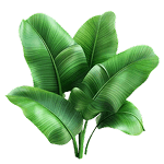 dentitox pro ingredient list