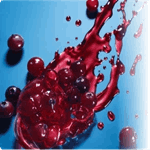 dentitox pro ingredients