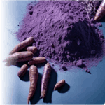 ingredients of dentitox pro